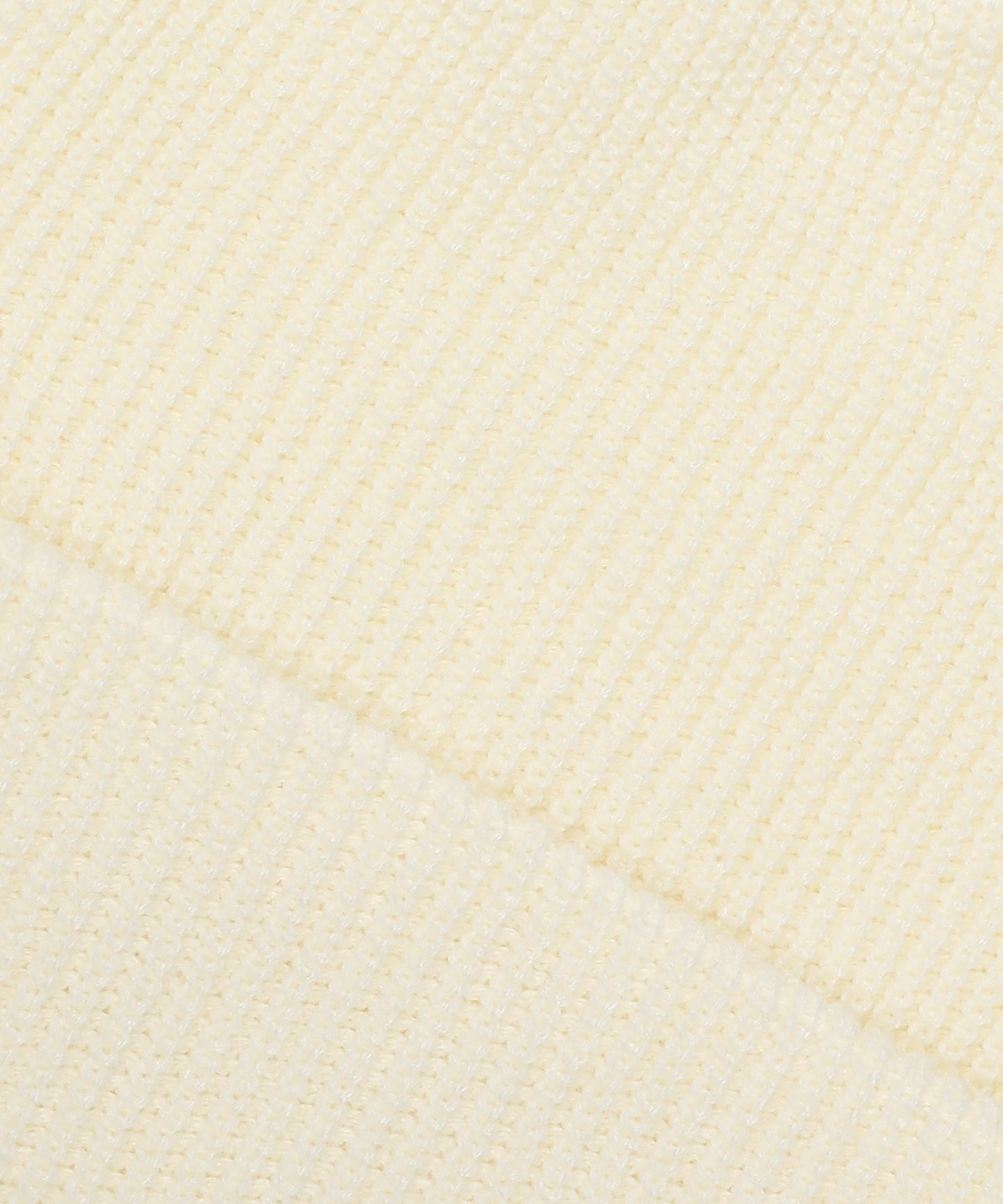 【10/31発売】LOGO BEANIE